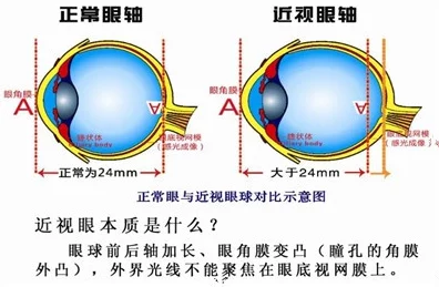 免费做爰试看120秒,网友纷纷表示这种活动吸引眼球,但也有人担心内容的真实性和安全性 免费做爰试看120秒,网友纷纷表示这种活动吸引眼球,但也有人担心内容的真实性和安全性