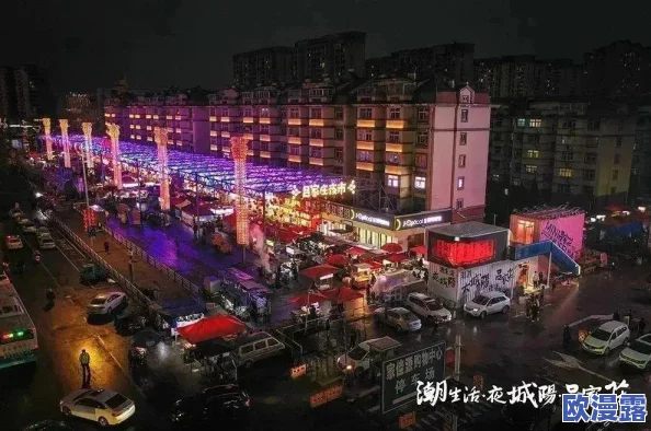 日韩盈盈性：两国文化交融，展现出独特的魅力与风情，让人向往