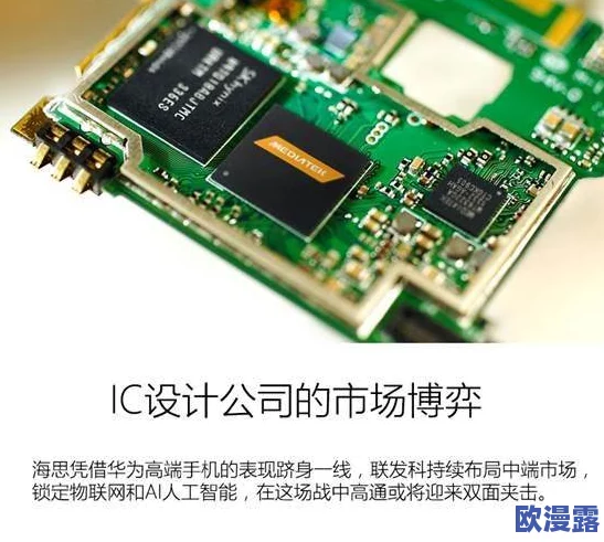 7x7x7x任意噪cjwic，这个组合听起来很有趣，期待能看到更多相关内容的分享！