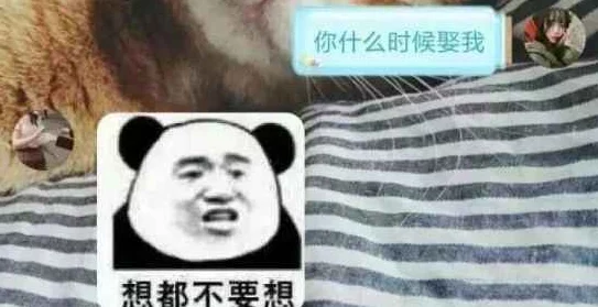 让笨蛋妹妹变得聪明方法,真是个好主意,希望能分享一些实用的技巧! 让笨蛋妹妹变得聪明方法,真是个好主意,希望能分享一些实用的技巧!