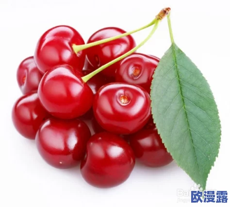 蜜汁樱桃by苦咖啡,这首歌的旋律真是让人陶醉,歌词也很有意境 蜜汁樱桃by苦咖啡,这首歌的旋律真是让人陶醉,歌词也很有意境
