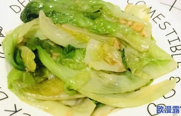 食物语:耗油生菜家常做法全解析,烹饪时间、售价及制作技巧一览表 食物语:耗油生菜家常做法全解析,烹饪时间、售价及制作技巧一览表