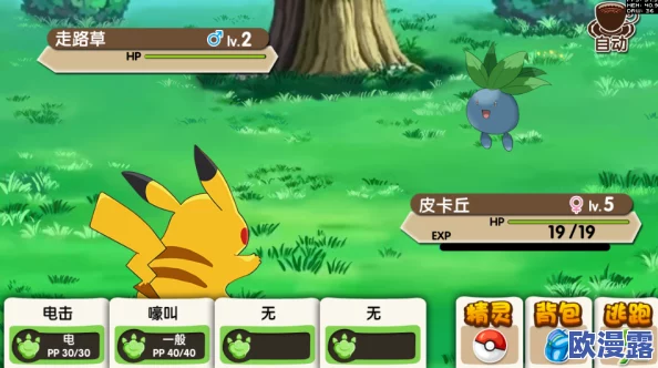 口袋妖怪复刻萌新必看:班吉拉特训攻略,揭秘沙袋所需材料及准备事项 口袋妖怪复刻萌新必看:班吉拉特训攻略,揭秘沙袋所需材料及准备事项
