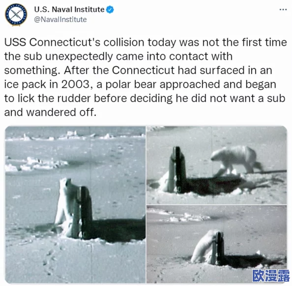 黑料网爆:网友热议事件背后的真相与影响,纷纷表达各自看法 黑料网爆:网友热议事件背后的真相与影响,纷纷表达各自看法