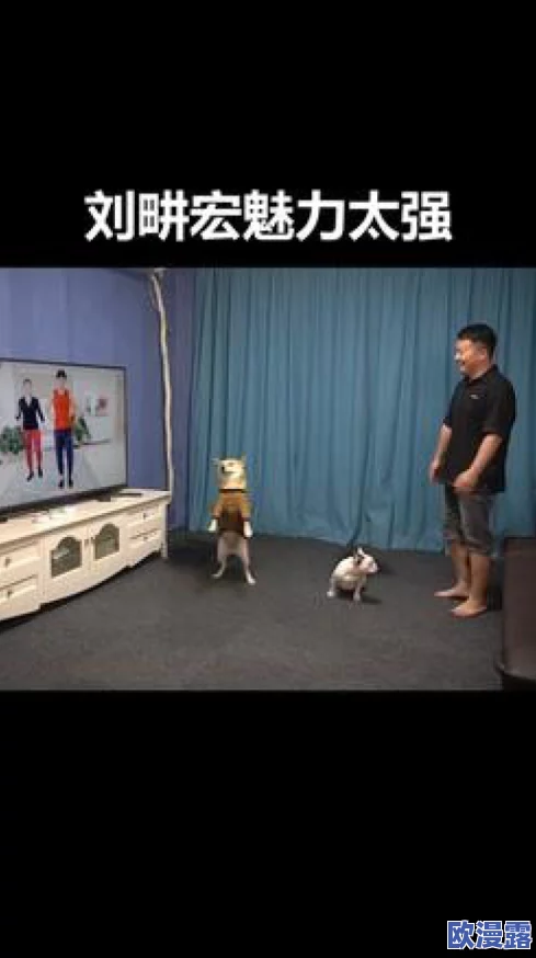 我的继坶我的性老师69影院,内容新颖独特,让人忍不住想要一探究竟 我的继坶我的性老师69影院,内容新颖独特,让人忍不住想要一探究竟