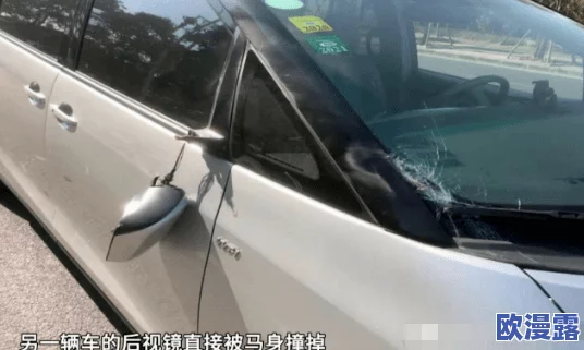 我在车上CAO了麻麻网友纷纷表示震惊和不解认为这样的行为不可接受并呼吁加强对青少年的教育与引导