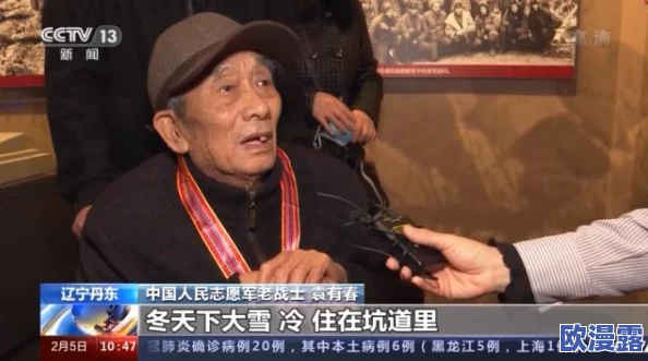 航海王启航：高效防御阵容搭配技巧全解析与实战应用指南