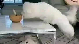 边摸边吃奶边做视频动图惊爆内幕曝光让人目瞪口呆的真实场景引发热议网友纷纷围观评论不断 边摸边吃奶边做视频动图惊爆内幕曝光让人目瞪口呆的真实场景引发热议网友纷纷围观评论不断