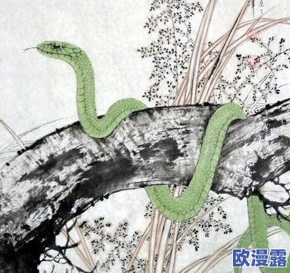 日本69xxxx免费视频网友认为该视频内容丰富多样，能够满足不同观众的需求，同时也引发了对网络安全和隐私保护的讨论