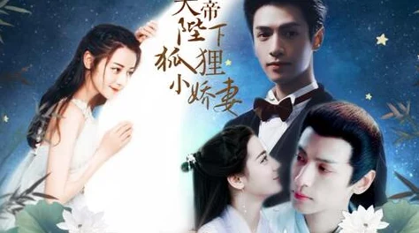 小娇妻宫交：在权谋与爱情之间的甜蜜纠葛与成长之路