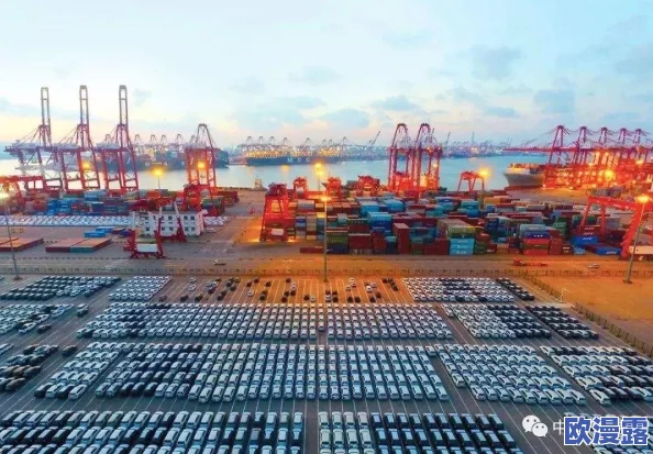 韩国＊惊爆信息：最新调查显示韩国年轻人失业率创历史新高引发社会广泛关注与讨论