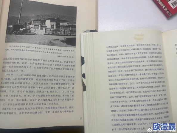 我与岳的性真实故事全文阅读最新进展消息:该作品在网络上引发热议,许多读者表示对情节发展充满期待 我与岳的性真实故事全文阅读最新进展消息:该作品在网络上引发热议,许多读者表示对情节发展充满期待