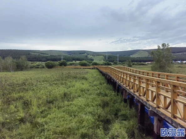 边境之旅联机攻略:详解如何与朋友共同踏上旅程的方法与步骤 边境之旅联机攻略:详解如何与朋友共同踏上旅程的方法与步骤