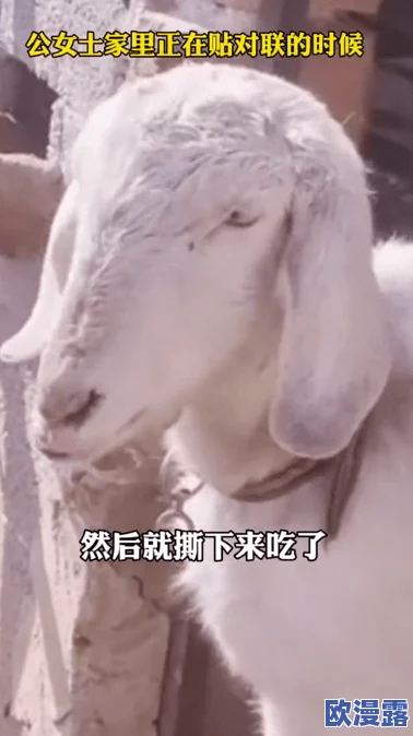 欧美人与牲禽的奇妙互动引发热议网友纷纷猜测背后故事究竟是文化差异还是另有隐情 欧美人与牲禽的奇妙互动引发热议网友纷纷猜测背后故事究竟是文化差异还是另有隐情