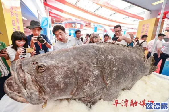 鲤鱼乡太深了慢点双性近日引发热议网友纷纷猜测其背后故事有人认为是对当下社会现象的隐喻引发讨论 鲤鱼乡太深了慢点双性近日引发热议网友纷纷猜测其背后故事有人认为是对当下社会现象的隐喻引发讨论