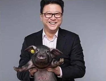 养猪大亨怎么玩_养猪大亨玩法介绍 养猪大亨怎么玩_养猪大亨玩法介绍