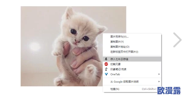 七猫小说怎么改名-改名方法介绍